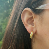 Argollas Doradas en Forma Clásica - Carolina Earrings