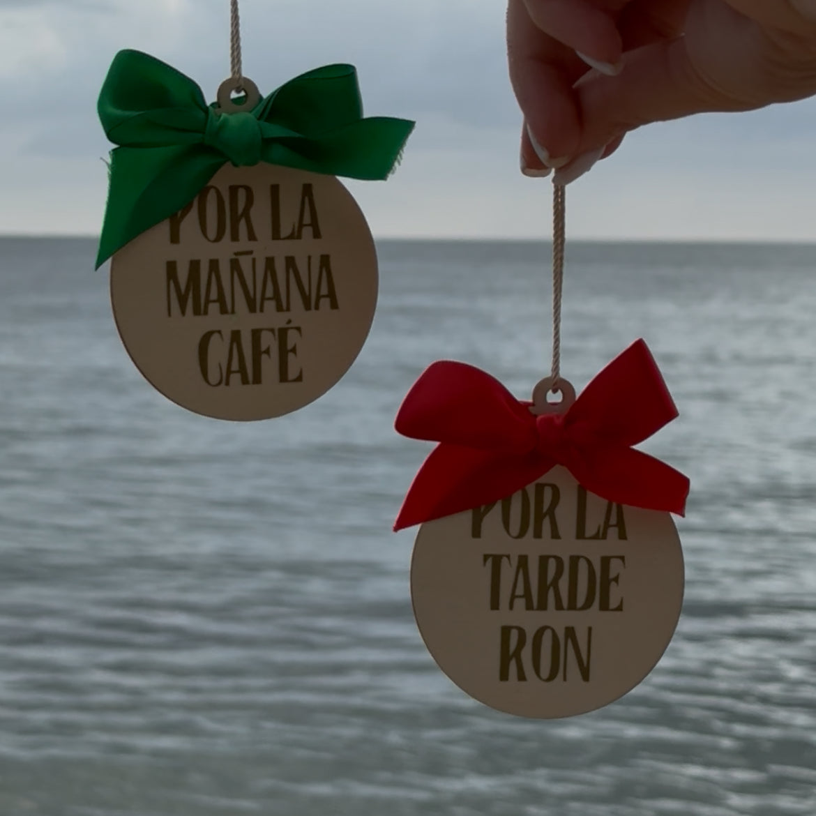 Two round wooden ornaments with green and red bows against a beach background