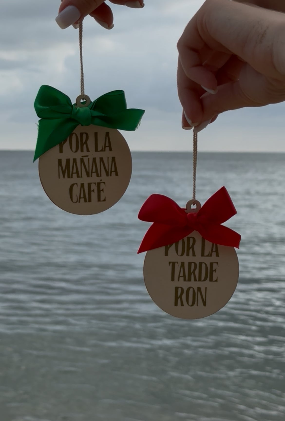 Two round wooden ornaments with green and red bows against a beach background